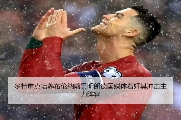 多特重点培养布伦纳前景明朗德国媒体看好其冲击主力阵容
